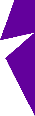 left lapel